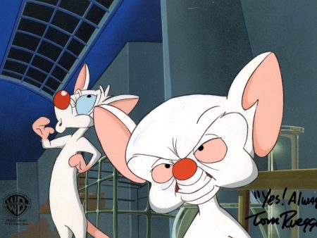 Pinky And The Brain Original Production Cel Signed by Tom Ruegger: Pinky and Brain Fashion