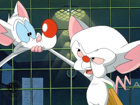 Pinky And The Brain Original Production Cel on Original Background: Pinky and Brain Online Hot Sale